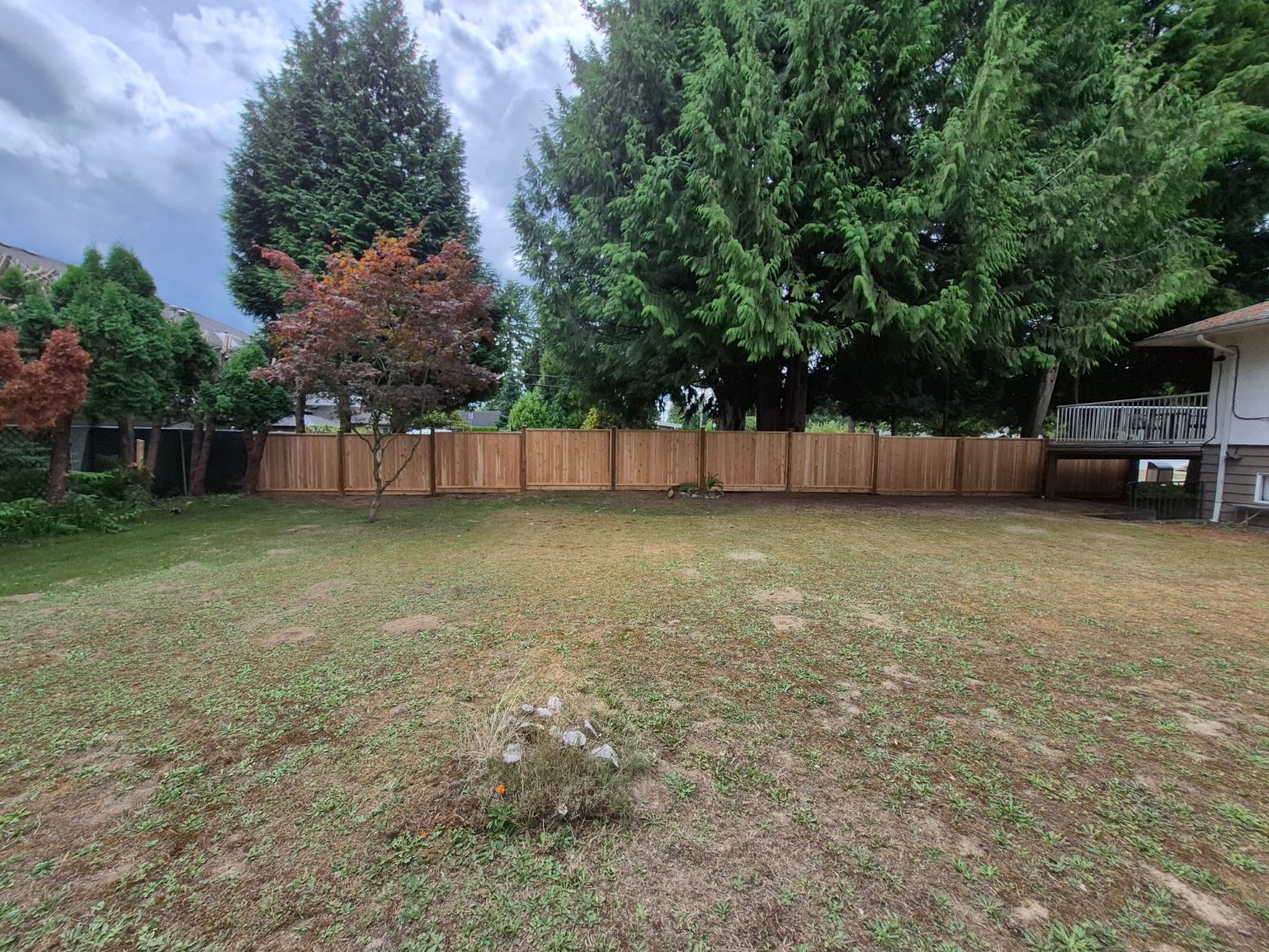 Cedar privacy fence across a backyard